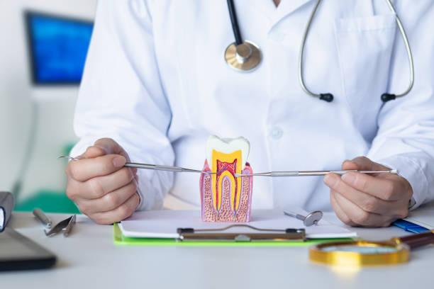 Best Pediatric Emergency Dentist in Dwight, IL
